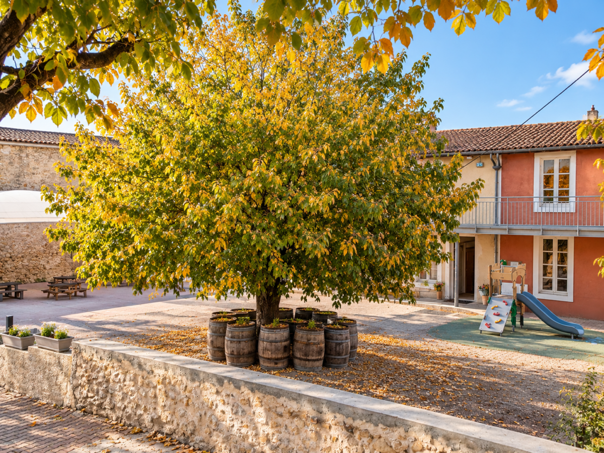 La cour de l’école sous les arbres, avec les barriques fleuries