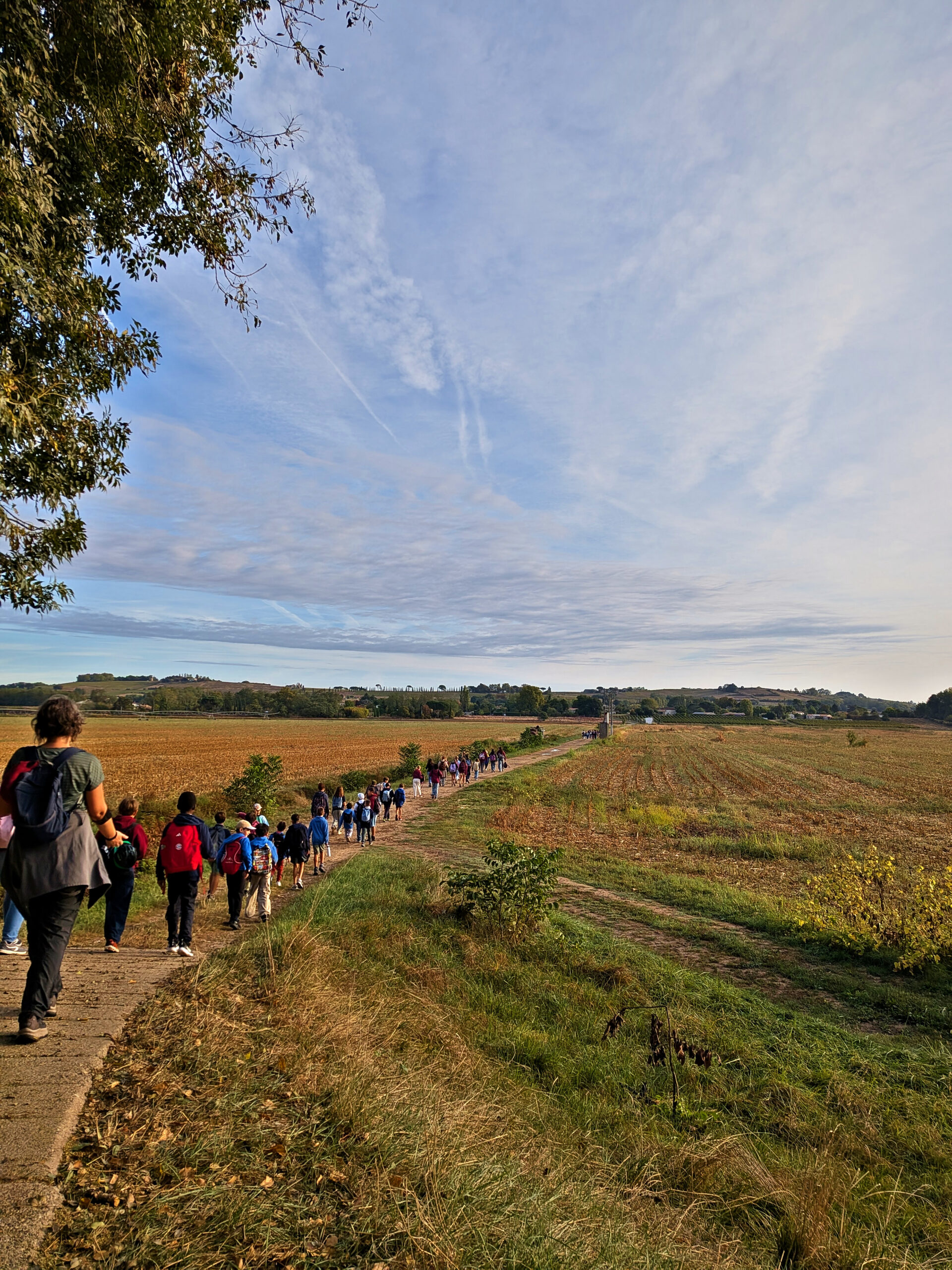 La longue file des élèves sur le chemin vers Verdelais, entre les champs